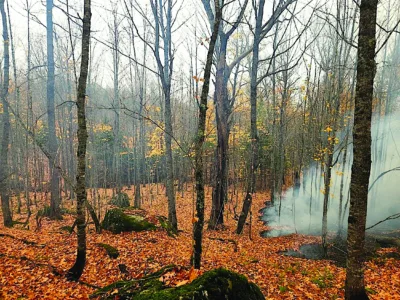 Wildfires closer to containment